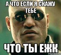 а что если я скажу тебе что ты ежк