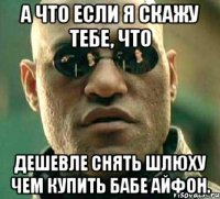 а что если я скажу тебе, что дешевле снять шлюху чем купить бабе айфон.