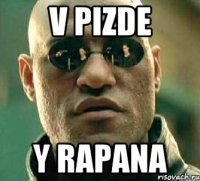 V pizde Y rapana