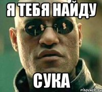 Я тебя найду Сука