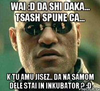 Wai :D da shi daka... tsash spune ca... K tu amu jisez.. da na samom dele stai in inkubator ? :D