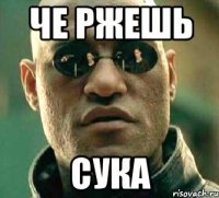 ЧЕ РЖЕШЬ СУКА