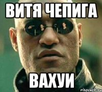 витя чепига вахуи