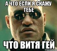 а что если я скажу тебе что витя гей