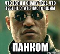 Что если я скажу тебе, что тебе не стать настоящим Панком