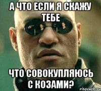 А что если я скажу тебе Что совокупляюсь с козами?