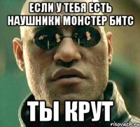 Если у тебя есть наушники монстер битс Ты крут