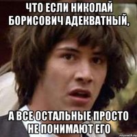 что если николай борисович адекватный, а все остальные просто не понимают его