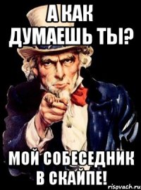 а как думаешь ты? мой собеседник в скайпе!