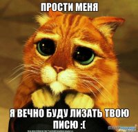 прости меня я вечно буду лизать твою писю :(