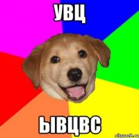 увц ывцвс