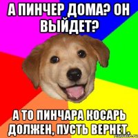 а пинчер дома? он выйдет? а то пинчара косарь должен, пусть вернет.