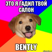 это я гадил твой салон bently