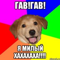 гав!гав! Я милый хахахаха!!!!