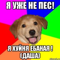 Я уже не пес! Я хуйня ебаная ! (Даша)