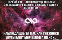 Первый снег - это шикарное явление! Сначала долго-долго его ждёшь, а затем с восторгом наблюдаешь за тем, как снежинки укутывают мир белой пеленой...