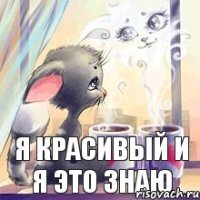 я красивый и я это знаю