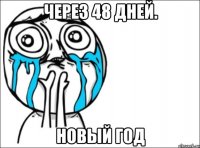 через 48 дней. новый год