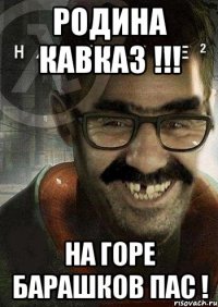 родина кавказ !!! на горе барашков пас !