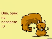 Опа, орех на повороте :D