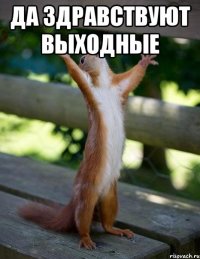 да здравствуют выходные 