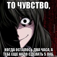 то чувство, когда осталось два часа, а тебе еще надо сделать 5 лаб.