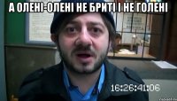 А олені-олені не бриті і не голені 