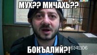 Мух?? Мичахь?? бокъалий?!