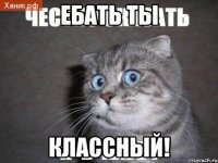 ебать ты классный!