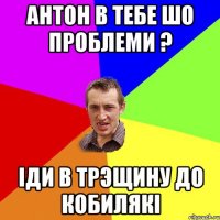 антон в тебе шо проблеми ? іди в трэщину до кобилякі