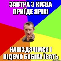 завтра з кієва приїде ярік! напіздячімся і підемо бобіка їбать