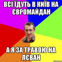 Всі їдуть в Київ на євромайдан а я за травою на лєван