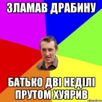 Зламав драбину батько дві неділі прутом хуярив