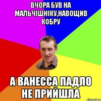 Вчора був на мальчішніку,навощив кобру А Ванесса падло не прийшла