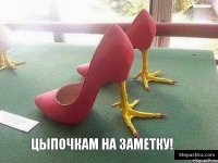 Цыпочкам на заметку!