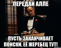 передай алле пусть заканчивает поиски, её жеребец тут!