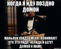 когда я иду поздно домой маньяки увидев меня , понимают что это лида -нелида и бегут домой к маме