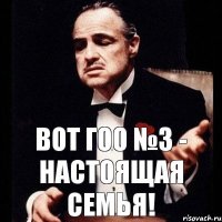 ВОТ ГОО №3 - НАСТОЯЩАЯ СЕМЬЯ!