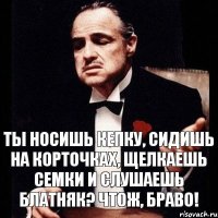 ты носишь кепку, сидишь на корточках, щелкаешь семки и слушаешь блатняк? Чтож, браво!