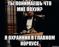 Ты понимаешь что мне похуй? Я охранник в главном корпусе