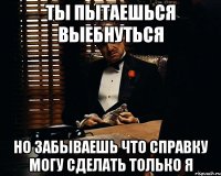 ты пытаешься выебнуться но забываешь что справку могу сделать только я