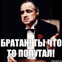 БРАТАН! ТЫ ЧТО ТО ПОПУТАЛ!