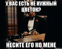 у вас есть не нужный цветок? несите его ко мене