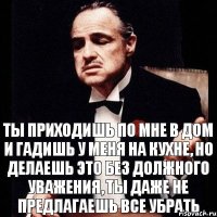 Ты приходишь по мне в дом и гадишь у меня на кухне, но делаешь это без должного уважения, ты даже не предлагаешь все убрать