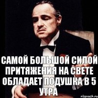 Самой большой силой притяжения на свете обладает подушка в 5 утра