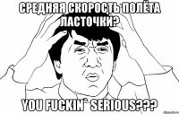 средняя скорость полёта ласточки? you fuckin` serious???