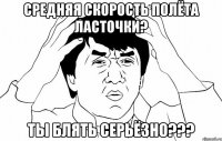 средняя скорость полёта ласточки? ты блять серьёзно???