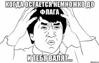 Когда остается немножко до флага и тебя валят...