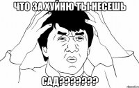 ЧТО ЗА ХУЙНЮ ТЫ НЕСЕШЬ САД???????