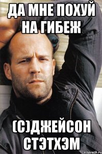 Да мне похуй на Гибеж (с)Джейсон Стэтхэм